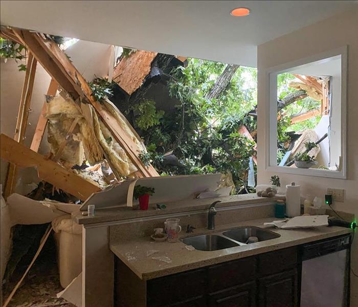 Tree branch crashed through roof of a house in Murfreesboro, TN.