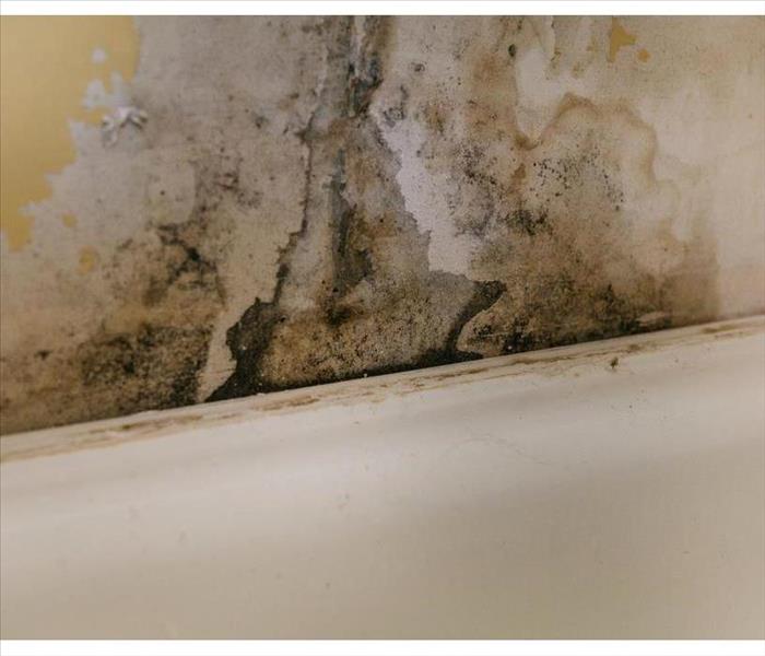 Mold growth on a wall in Murfreesboro, TN due to humidity