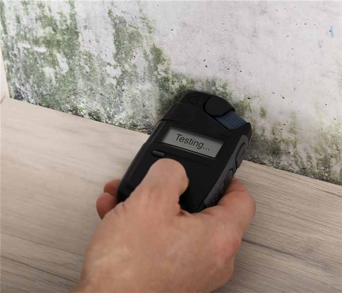Hand holding a moisture meter against a wall